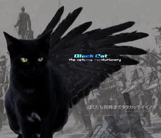 Black Cat — the netgame revolutionary