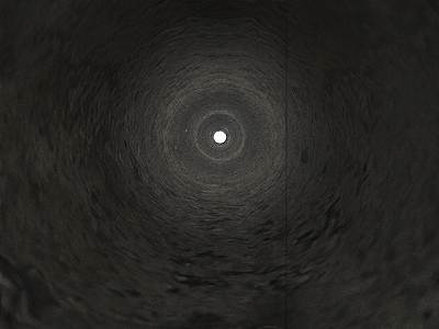 穴の中はこんな感じだった。